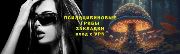 винт Алексин