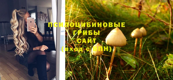 первитин Алексеевка