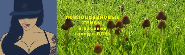 первитин Алексеевка